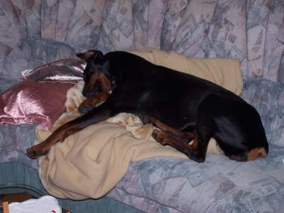 Sofa