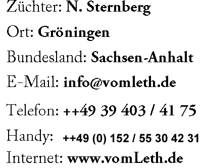 Kontakt